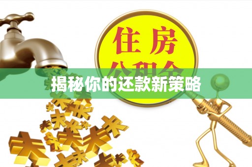 秀峰揭秘你的还款新策略