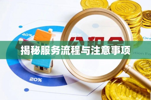 秀峰揭秘服务流程与注意事项