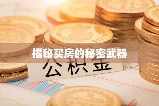 秀峰揭秘买房的秘密武器