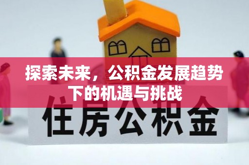 秀峰探索未来，公积金发展趋势下的机遇与挑战