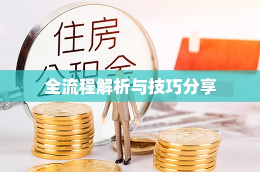 秀峰全流程解析与技巧分享